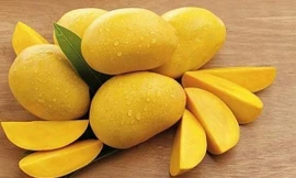 Những đại kỵ khi ăn xoài nhất định phải nhớ kẻo 'tích độc dược’ vào người