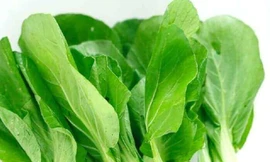 Những người tuyệt đối không ăn rau cải, cẩn thận kẻo 'rước hoạ'