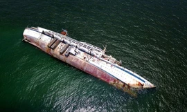 Ảnh minh họa: iStockPhoto