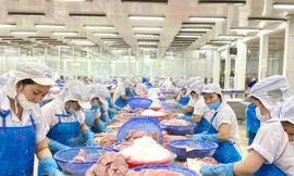 Nước nào tiêu thụ cá tra Việt Nam lớn nhất thế giới? 