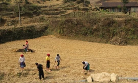 Quy định mới về hỗ trợ đất sản xuất cho hộ đồng bào dân tộc thiểu số