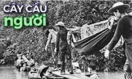 Cầu người - Cây cầu đẹp nhất