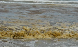 Nước biển tại Khe Hai, thôn Trung An, xã Bình Thạnh, huyện Bình Sơn, tỉnh Quảng Ngãi đổi màu bất thường. Ảnh Nguyễn Ngọc