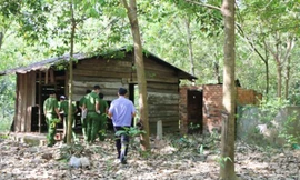 Bị bạn cùng tuổi hiếp dâm, bé gái 14 tuổi cố lết về nhà