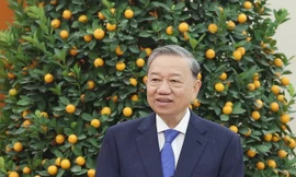 Tổng Bí thư Tô Lâm gặp gỡ kiều bào tiêu biểu dự chương trình ‘Xuân quê hương’