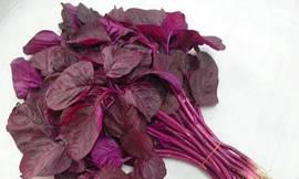 Mùa hè ăn rau dền mát bổ nhưng sẽ hóa ‘thuốc độc’ nếu ăn theo cách này