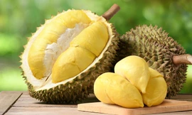 Sầu riêng Việt Nam 'một mình một chợ' ở Trung Quốc 