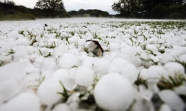 Hình ảnh những hạt mưa đá trên bề mặt cỏ. Ảnh: RT