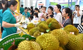 Quốc gia hàng đầu khu vực e ngại sự trỗi dậy của nông sản Việt Nam