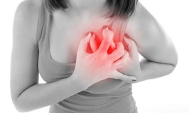 Những thói quen tưởng vô hại nhưng đang âm thầm 'giết chết' trái tim của bạn