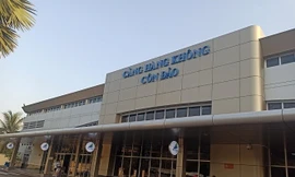 Lo mất an toàn bay vì xuất hiện quá nhiều chim ở sân bay Côn Đảo