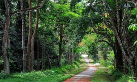 Việt Nam thắng lớn tại giải ‘Oscar’ du lịch