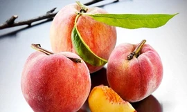 Ăn quả đào rất tốt, chống cả ung thư nhưng những người sau nên tránh xa kẻo 'rước họa vào thân'