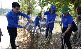 Đoàn tình nguyện đã trồng tặng khu di tích lịch sử Truông Bồn công trình vườn cây thanh niên với 1.000 cây hoa mua hoa sim.