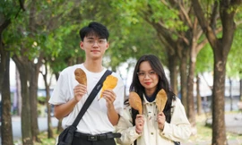 Lộc vừng thay lá, nhuộm vàng mùa thu Sài Gòn