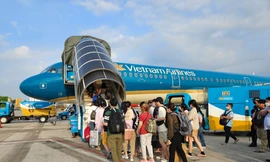 Bắt đầu bán vé máy bay Tết 