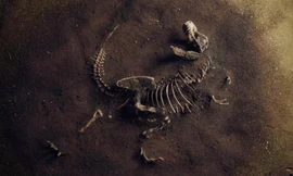 Phát hiện hóa thạch khủng long khổng lồ ở Anh