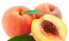 Quả đào tốt cho tiêu hóa, chống cả ung thư nhưng những người sau tuyệt đối không nên ăn