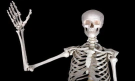 Vì sao bạn bị 'điện giật' khi khuỷu tay vô tình chạm vào vật cứng