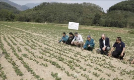 Hoàn thiện chính sách đất đai đối với đồng bào dân tộc thiểu số