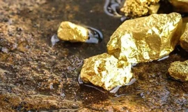 Thêm 12 mỏ vàng trữ lượng 10 tấn vừa được phát hiện