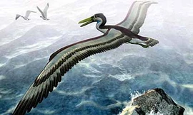 Quái vật chim cổ đại có sải cánh dài ngang phi cơ