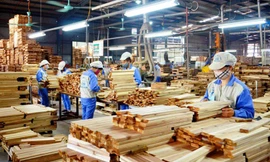Mỹ muốn áp thuế hàng Việt 46%: Doanh nghiệp phải hết sức bình tĩnh!