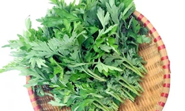 Tác dụng phụ đáng sợ của rau ngải cứu, biết mà tránh kẻo 'hại đủ đường'