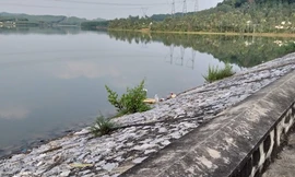 Lời khai rợn người của bà nội nghi sát hại cháu gái 11 tuổi