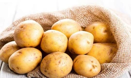 Những thực phẩm thường gặp có chứa chất độc, vô tình ăn sai cách có thể ngộ độc, tử vong