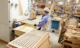 Ông Donald Trump áp chính sách mới tác động gì tới hàng hóa Việt Nam? 