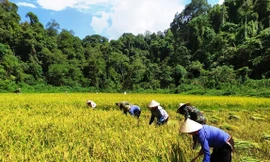 Điều kiện công nhận huyện nghèo, xã đặc biệt khó khăn sau sáp nhập