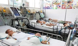 Cấp cứu viêm não Nhật Bản ở trẻ em. Ảnh: Internet