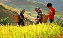 Thúc đẩy khởi nghiệp, thu hút đầu tư vùng đồng bào dân tộc thiểu số và miền núi