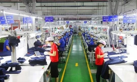 Thúc đẩy hợp tác Việt Nam-Singapore trong một số lĩnh vực cụ thể