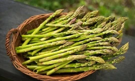 Loại ‘rau hoàng đế’ vừa giúp ngăn ngừa ung thư vừa tăng cường sinh lý