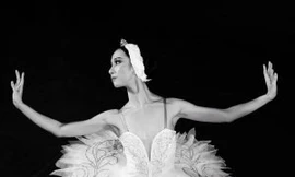 Đề cử Giải thưởng Gương mặt trẻ Việt Nam tiêu biểu 2023: Phạm Thu Hằng