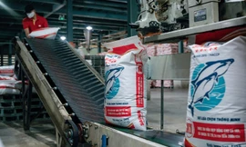 Tiềm năng kinh doanh bền vững 