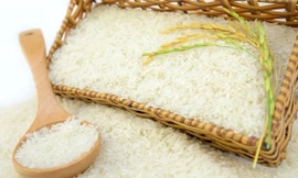 Gạo Việt Nam đắt đỏ nhất thế giới
