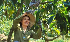 Lâm Đồng nỗ lực triển khai Chương trình giảm nghèo bền vững