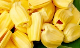 Những sai lầm khi ăn mít gây rối loạn tiêu hóa, hoa mắt chóng mặt