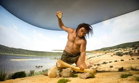 'Lò mổ' ngựa tiết lộ bí mật của loài người tuyệt chủng