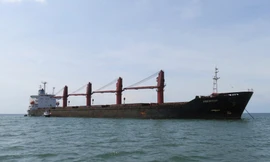 Tàu vận tải M/V Wise Honest bị Mỹ bắt giữ. Ảnh minh họa: New York Times