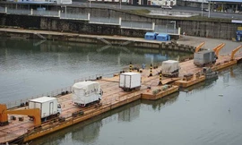 Ùn ứ tại cửa khẩu Móng Cái, hải sản tươi sống chết hàng loạt