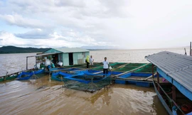 Thách thức tăng thu nhập và giảm nghèo trong xây dựng nông thôn mới ở Kon Tum