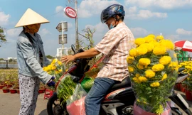 SATRA tiếp tục miễn phí gian hàng tại Chợ hoa Xuân Bình Điền 2025