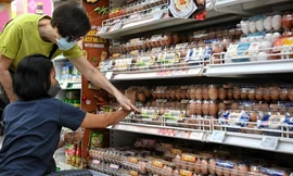 Nước nổi tiếng 'gắt' về kiểm dịch nhập khẩu trứng, thịt gia cầm Việt Nam