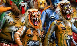 Độc đáo màn múa hổ của người Ấn Độ