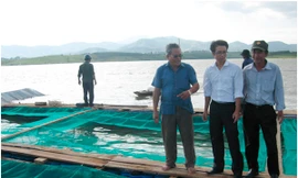 Nuôi cá lồng ở hồ Pleikrông