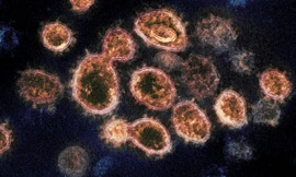 Tình báo Mỹ có thể đã bỏ lỡ cơ hội điều tra nguồn gốc đại dịch COVID-19 